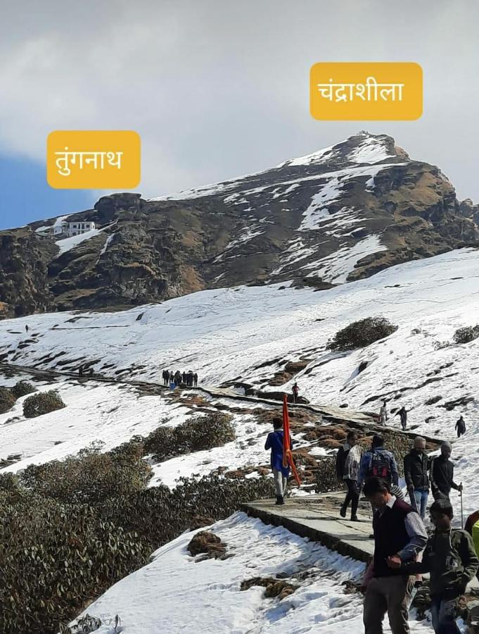 Pandava'S Cafe & Stay Chopta Dış mekan fotoğraf